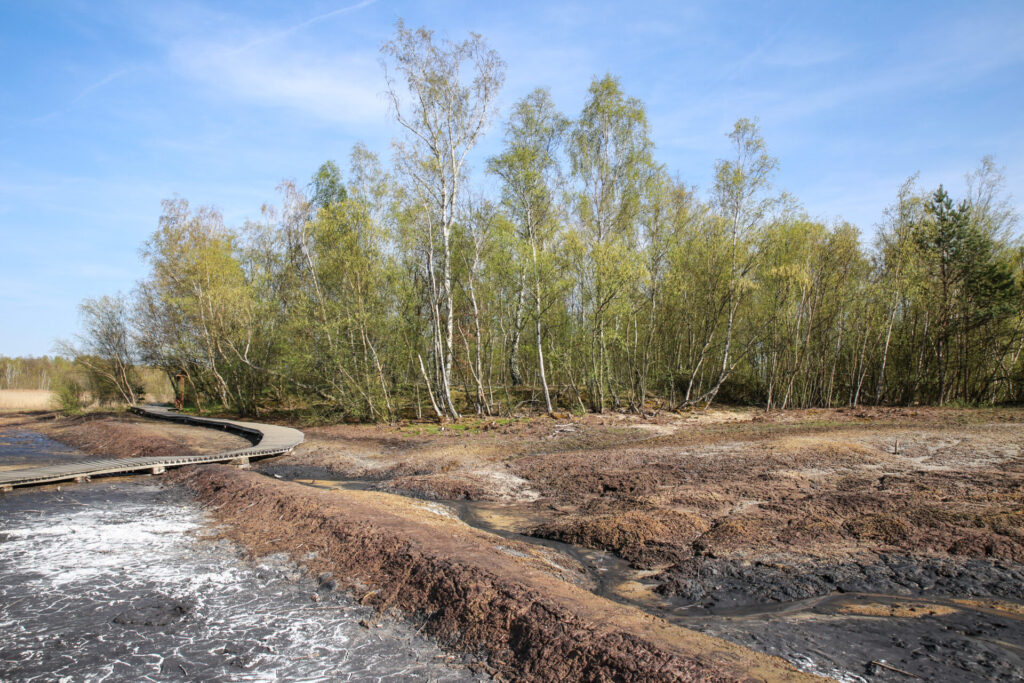 Nationales Naturschutzgebiet Soos ŽivyKraj.cz