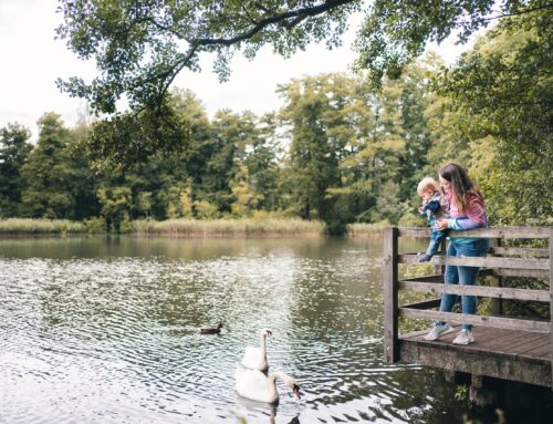 Ostrov uprostřed rybníků