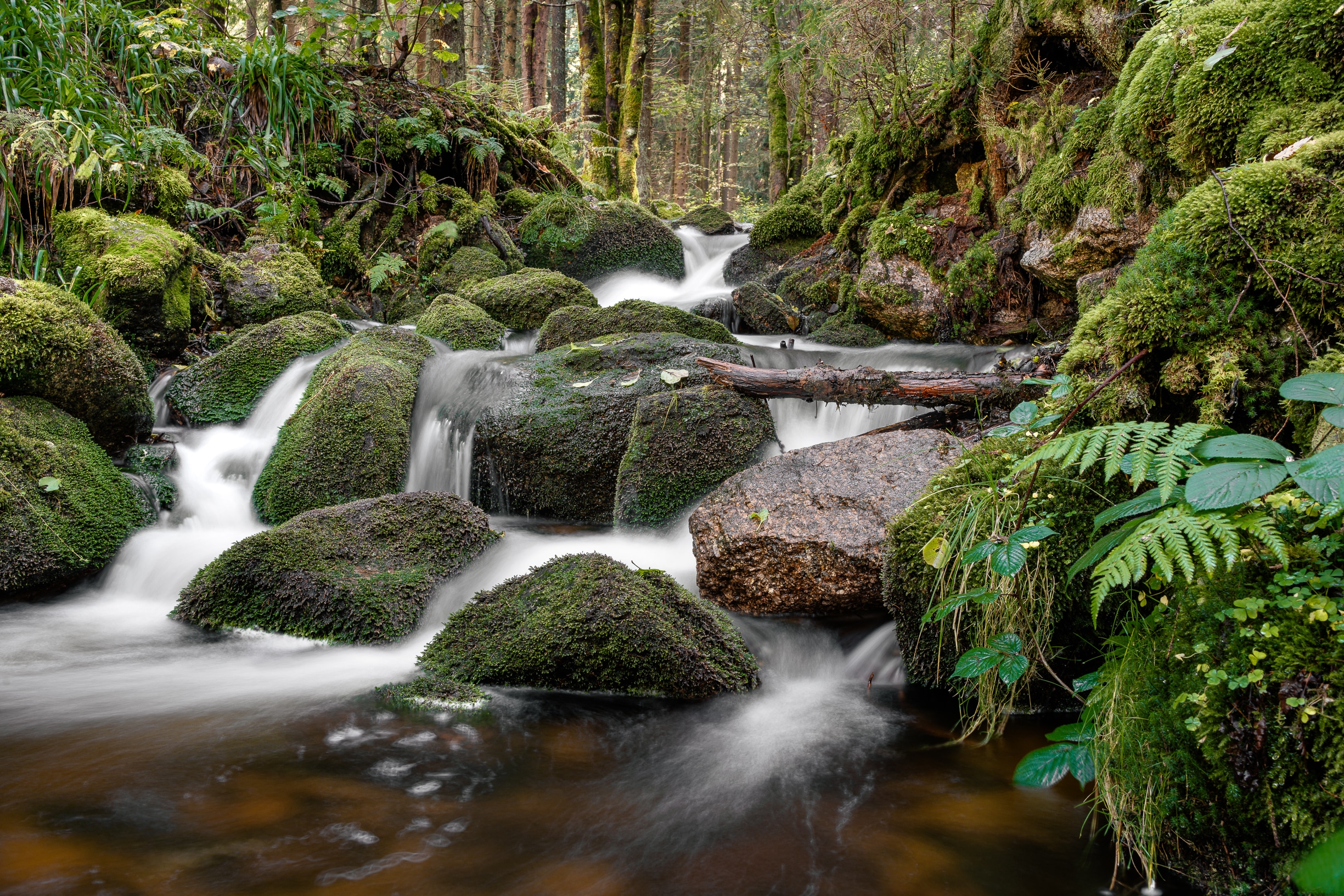 Rájecké údolí_VláďaSurmaj-8