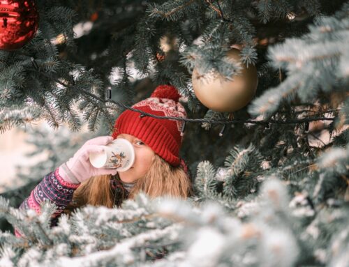 Vánoční trhy v Karlovarském kraji